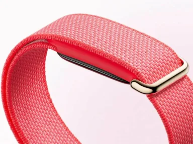 Фитнес-браслет Google Fitbit Air, цвет - Berry (Красная ягода) — фото 3